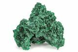 Silky, Fibrous Malachite Cluster - Congo #250693-1